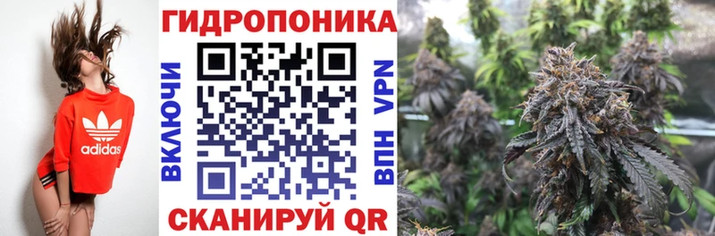 Все наркотики Новоульяновск mega вход  Alpha PVP  Меф  Канабис  Гашиш  Амфетамин 