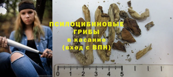 кокс Билибино